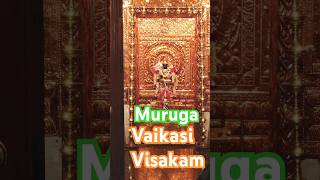 Vaikasi Visakam 2025 | #vaikasivisagam #murugan #murugansongs #murugantemple #reels #shorts #god