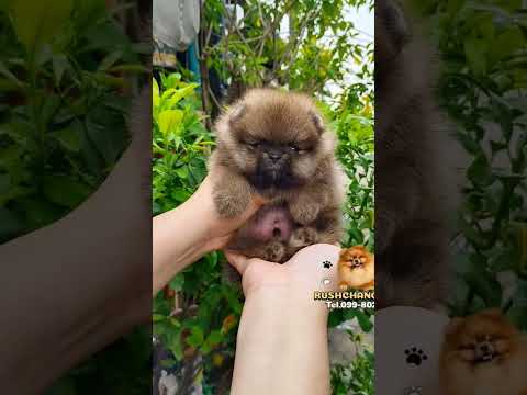 น่ารักแบบนี้ต้องจัด