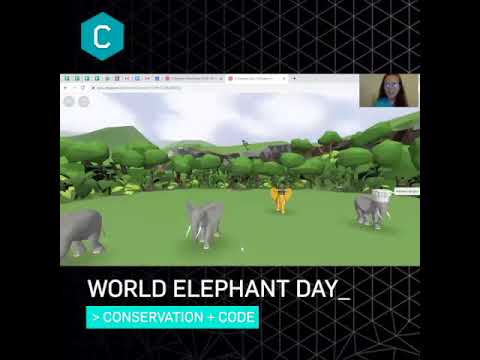 WORLD ELEPHANT DAY | VR CODING PROJECT