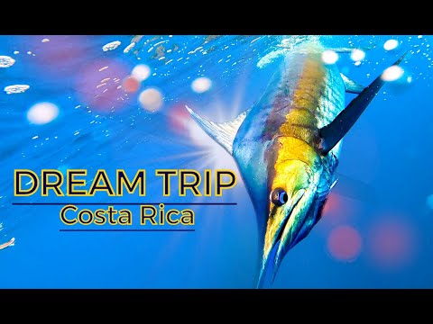 EPIC Fishing for Marlin, Sailfish, TOPWATER Tuna in COSTA RICA! (Catch, Clean, Cook)