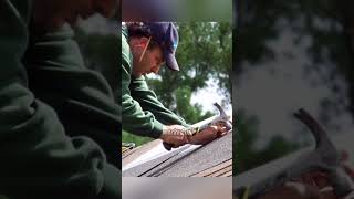 the neighbor laughed at his small house #youtubestory