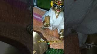 Kartik mass me sewa thakur ji ki kripa se🥹🦚🪔 #sortvideo #youtubeshorts #ladoogopalshorts #kartikmass