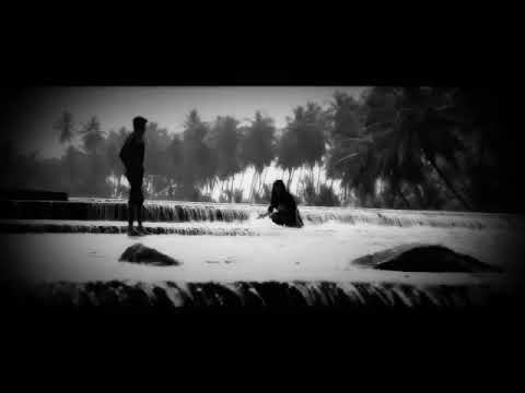 Kadal