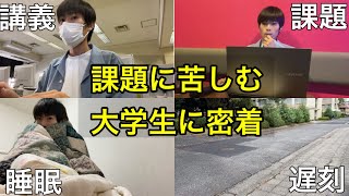 課題に追われるぼっち大学生の1日に密着【日常vlog】