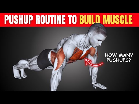 How Many Push Ups Should You Do A Day to Build Muscle | (Step-by-Step Guide)