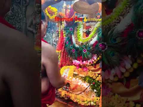 #vindhyachaltemple #vindhyanchal #navratri #navratri2025 #devi #durgapuja #durgamaa #maa #festival