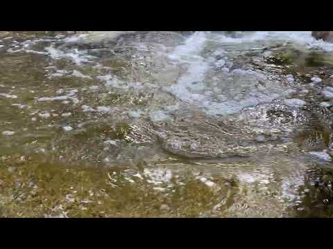 Remote Reiki Love Energy Broadcast Healing Mountain Stream Meditation #1