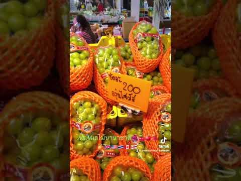 ผลไม้นำเข้า🍇🍓🍎🍒ผลไม้นานาชาติ🏴󠁧󠁢󠁥󠁮󠁧󠁿🇺🇸🇨🇦🇹🇭ผลไม้ีคัดเกรดพรีเมี่ยม🏆🏆ผลไม้ตามฤดูกาล🌳