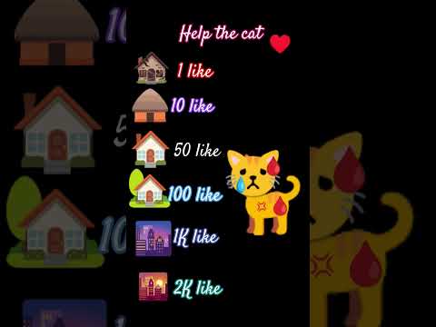 Emotional cat help the cat 🐈 #shorts#trending#viral ♥️♥️