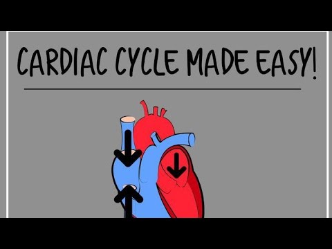 Cardiac Cycle NEET class 11th #biology #neet2023 #lets crack it