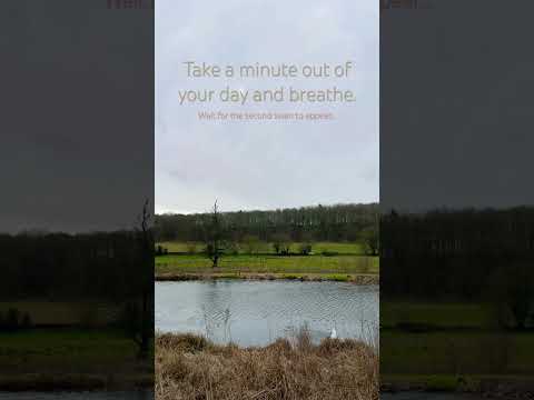 Take a minute to just breathe #relax #nature