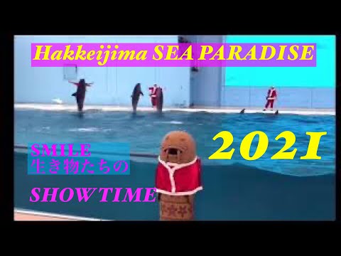 八景島シーパラダイス　クリスマスver.SMILE 生き物たちのSHOW TIME
