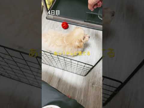 4日目の朝ごはん