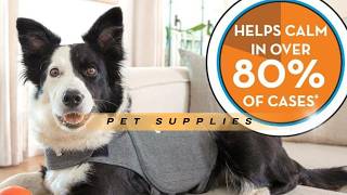 ⚡ How To Calm Your Dog Instantly: The #1 Vet-Recommended ThunderShirt Review 🐕