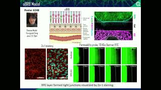 Yoo | Image-based analysis for complex biology in MPS High Throughput Screening