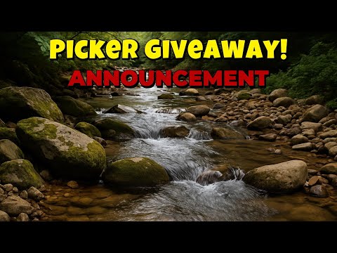 GOLD PICKER GIVEAWAY WINNER ANNOUNCED!(Spun LIVE at 5:30 PM EST – Watch the Wheel!)