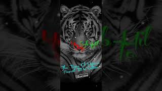 Hazrat tipu sultan status video