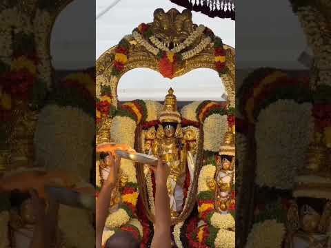 #govinda #tirumala #tirumalatirupati #ttdtemple #balaji #balajibhajan