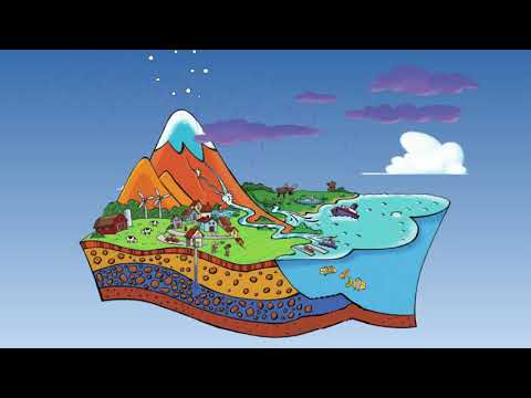 The Water Cycle (Spanish)
