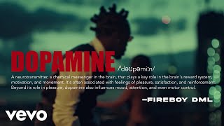 Fireboy DML - Dopamine (Official Visualizer)