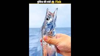 Discovering the Longest Sea Creature | Amazing Underwater Secrets Fact #facts #fish #amazingfacts