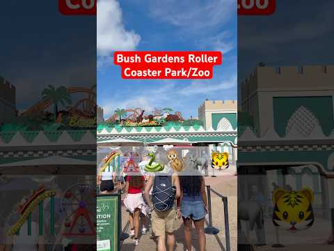 Roller Coaster #bushgardens #roadtoo100subs #like #music #viral