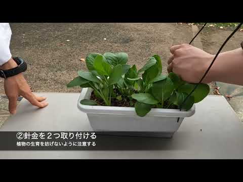 防虫ネットの取り付け