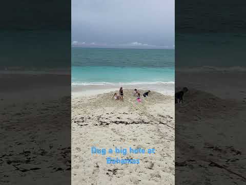 Vacation