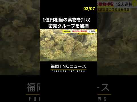 末端価格 1億円相当の薬物を押収　男女12人の密売グループを逮捕　#shorts #麻薬 #薬物 #大麻 #密売 #事件 #福岡