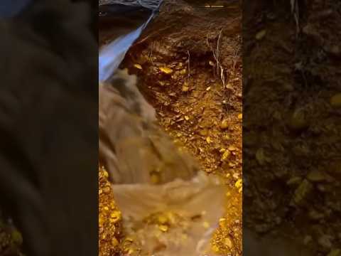 The Golden Mountain #gold