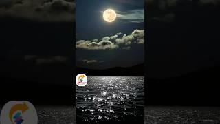 Qala Song #qala #shorts #trending #viral #ytshorts #emotional  #shortsviral #newsong2023 #shauq