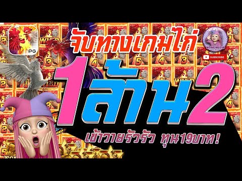 สล็อตน้องเหมียว สล็อตPG Rooster Rumble จับทางเกมไก่ ทุน19 สูตรแตกล้าน!  #1 ผู้หญิงปั่นสล็อต