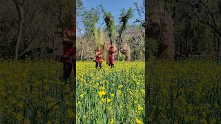 happy Holi 🎊😂 #happpyholi #holi #funny #song #viralvideo