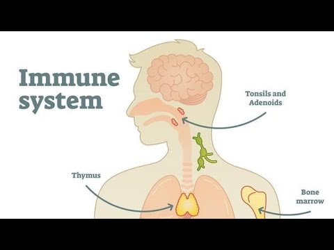 Immunity One shot