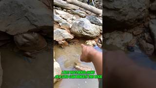 #goldrush arizona 2025 following traces of gold I made $4000#goldmining #goldpanning