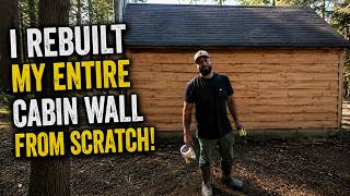 I REBUILT MY ENTIRE CABIN WALL FROM SCRATCH! MILLING MY OWN TREES
