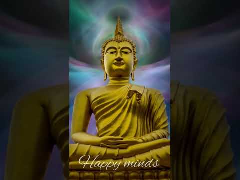 Relax music ~Meditation- stress free - good vibe #meditation #relaxing #yoga #happyminds