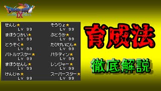 【これ１本でOK】ドラクエ9ガチ勢が超効率的な育成方法を徹底解説！