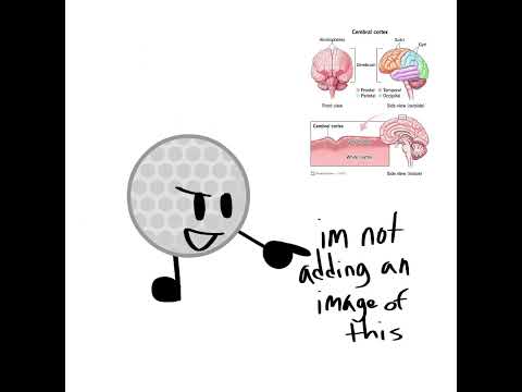 yes i am a NERD #pencil #golfball #idfb #bfdi #bfb #tpot #letmeoutoftheexit
