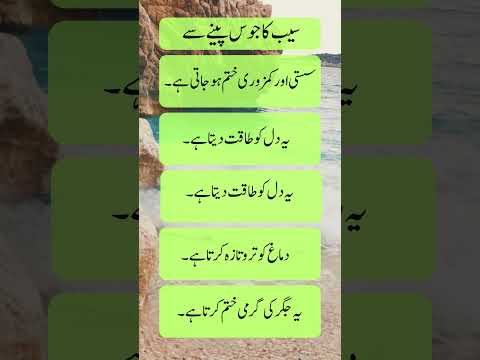 Apple ka juice Peene ke | qoutes | event | beach | travel #islamicshorts #quotes #trendingshorts