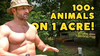 Maximizing Small Spaces: How We Fit 100+ Animals on 1 Acre! [Tips & Tricks]