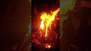 कब होली 2025||holi kab hai 2025 #holi #holispecial #holistatus #holikabhai #aniruddhacharyaji