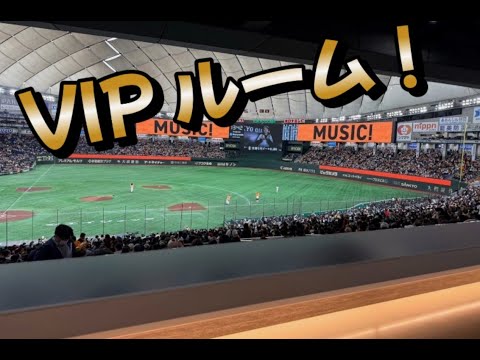≪セレブ！≫美少女VIP野球観戦