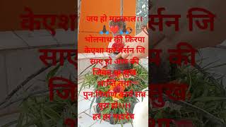 #katha#pananpradeepimmshra #pradoshvratpradeepmishraji #pradoshkeupaypradeepmishraji #motivation#god