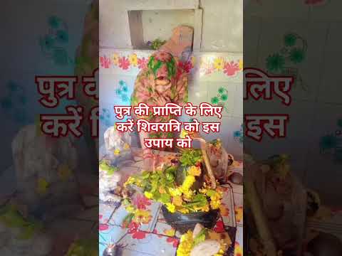 पुत्र की प्राप्ति के लिए करें शिवरात्रि को इस उपाय को#shortvideo #panditpradeepmishrajikeupay