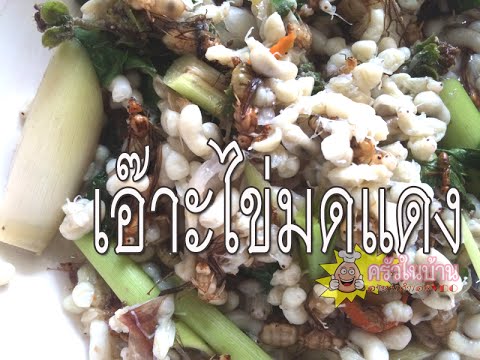 เอ๊าะไข่มดแดง วิธีทำง่ายๆ แซ่บอีหลีเด้อ