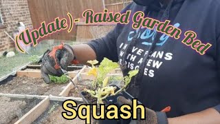 Raised Garden Bed (Update) #diygarden #gardning #harvest