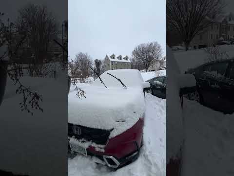 Snow again #massachusetts #winter #winterstorm
