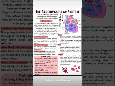 #medicaleducation #medicalterms #successfullife #biology #subscribemychannel