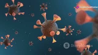 How Ribosomes & ZAK Protein Respond to UV Damage